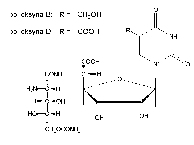 Antybiotyki z grupy inhibitorw biosyntezy chityny – polioksyna B i D. 